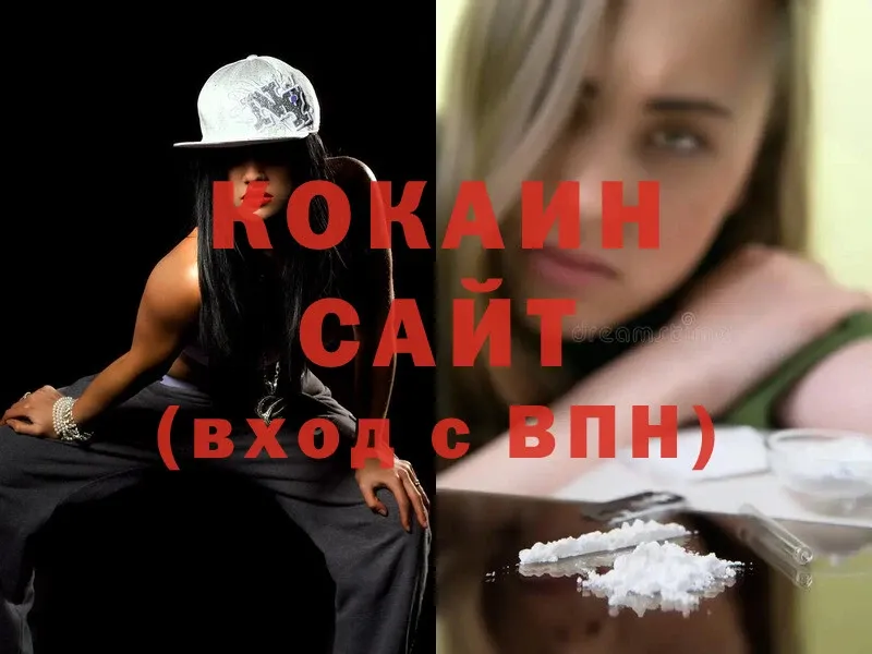 купить наркоту  Гдов  КОКАИН FishScale 